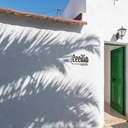 Estancia Cecilia La Orotava Exteriör bild